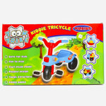 Kiddie Tricycle Green For Kids