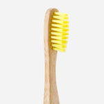 The Bamboo Company Lakbawayan Bamboo Toothbrush