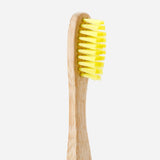 The Bamboo Company Lakbawayan Bamboo Toothbrush