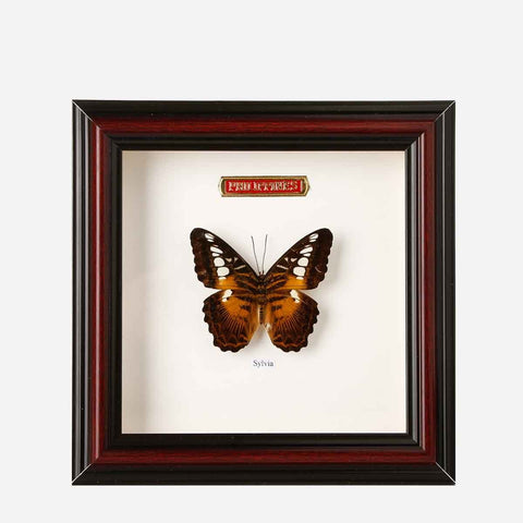 Tahanan by Kultura Butterfly in Frame