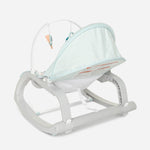 Fisher-Price Deluxe Infant to Toddler Rocker