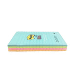 3M Post It Notes Miami Collection 4x6"