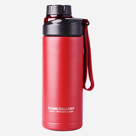 Home Gallery Stainless Steel Double Wall Vacuum Bottle -  520ml