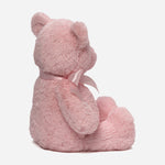 Gund 15 Inch My 1St Teddy Pink Toy For Kids