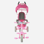 Rux Pals Premium Trike Pink For Kids