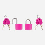 Travel Basic 2pcs Key Padlock