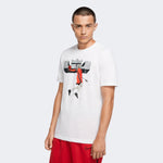 Nike Dri-FIT LeBron Logo Men's Basketball T-Shirt CV1049-100