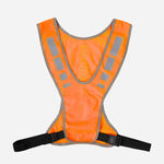 SM Accessories AXCS Reflective Vest