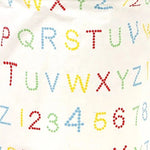 Colorful Alphabet Canvas Organizer