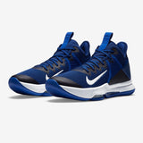 Nike LeBron Witness 4 (Team) Basketball Shoes CV4004-400