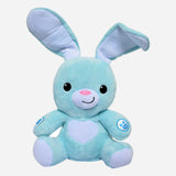 Winfun Peekaboo Light Up Bunny For Babies