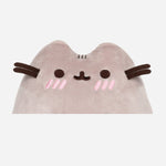 Gund 9 5 Inch Pusheen Rainbow Toy For Kids