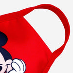 Mickey Mouse Face Cloth Cover Classic Mickey