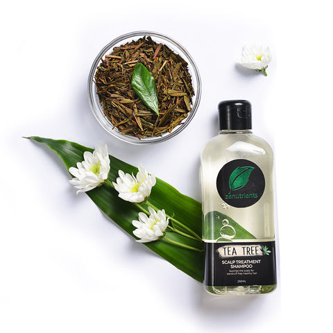 Zenutrients Tea Tree Scalp Treatment Shampoo 250Ml